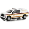 2020 Chevrolet Silverado Truck White W/Stripes "Narberth Ambulance Narberth Pennsylvania" 1/64 Diecast Model Car By Greenlight 2 2020 Chevrolet Silverado Truck White W/Stripes "Narberth Ambulance Narberth Pennsylvania" 1/64 Diecast Model Car By Greenlight -Greenlight Shop GUEST 6c68e4bd 0bda 43e3 b207 6972746d44f5